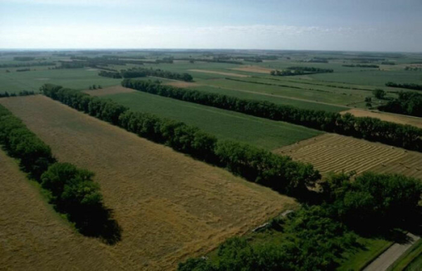 Смуги допомогли покращити клімат. /Фото: ndsu.edu. Полосы помогли улучшить климат. /Фото: ndsu.edu.