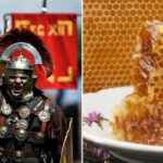 Як “неправильний” мед привів цілий римський легіон до поразки, а…