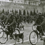 Як воювали велосипедні війська, і чому цей транспорт особливо сподобався…