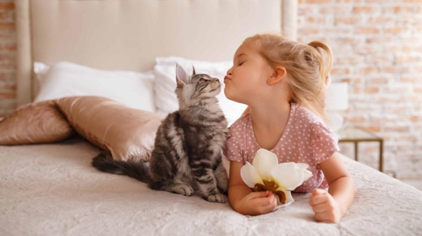 Коти не те щоб люблять - швидше, дозволяють себе любити. /Фото: guru.wildberries.ru Коты не то, чтобы любят - скорее, позволяют себя любить. /Фото: guru.wildberries.ru