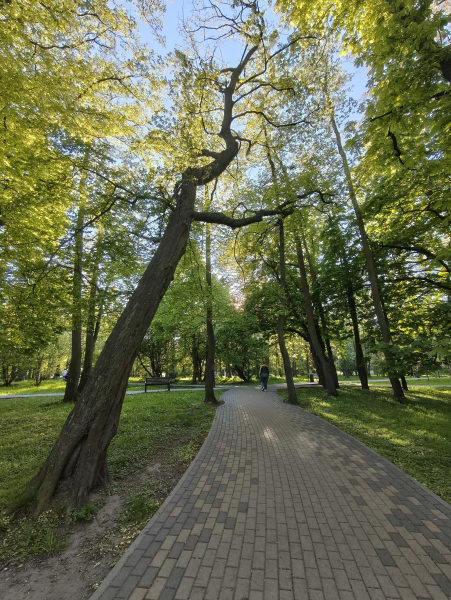 Фото на широкоугольную камеру