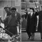Виросли на цитрусах, або як легендарна Коза Ностра піднялася на…