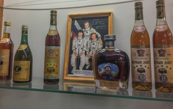 Легендарний білий лелека. Фото: cdnn1.img.md.sputniknews.com. Легендарный Белый аист. Фото: cdnn1.img.md.sputniknews.com.