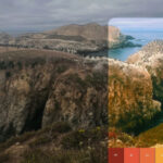 VSCO випустила Capture – безкоштовний додаток-камеру для iPhone з плівковими…