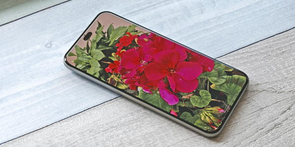 Екран Honor 400 Pro: экран