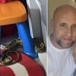 Трирічна дівчинка не підозрювала, що в її спальні повзає 2-метрова…