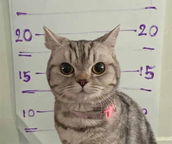27953861f0f3c3c90558f18d4ad5dd62