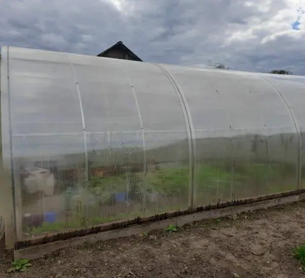 Як зміцнити тендітну теплицю: без цього вона не переживе ураган, град та снігопад