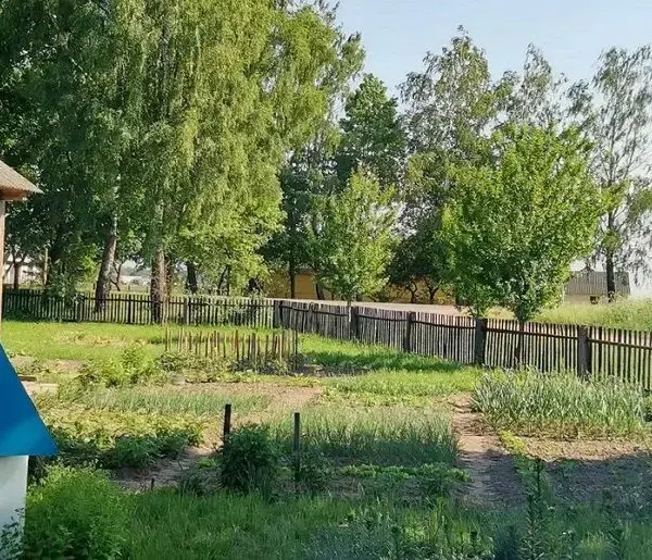 Дизайн саду на 6 сотках: 15 ідей для перетворення маленької ділянки