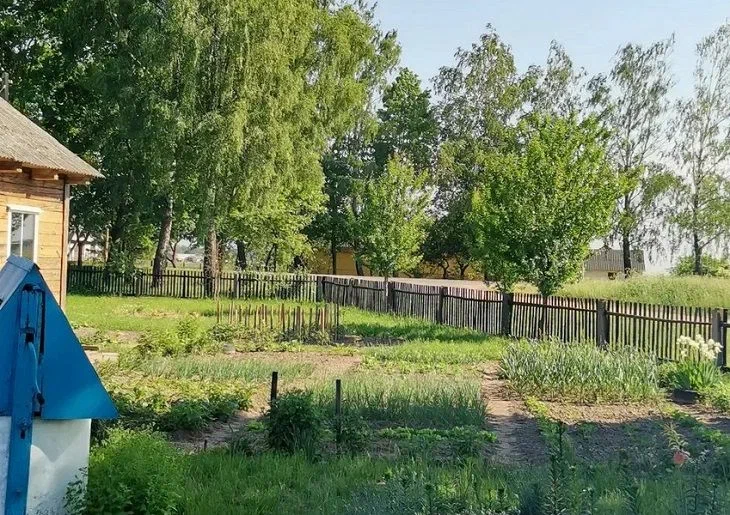 Дизайн саду на 6 сотках: 15 ідей для перетворення маленької ділянки Участок