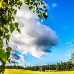 Чому вихідні пролетіли, а ви так і не відпочили: ось…
