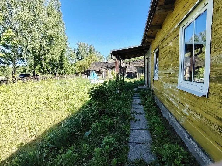 Пластикові пляшки на грядці: несподівані способи застосування, про які ви не здогадувалися дом