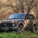 9 популярних автомобілів із вторинного ринку, що засмутять корозією вже…