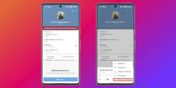 Щоб усунути трек, натисніть Remove from Profile Чтобы убрать трек, нажмите Remove from Profile
