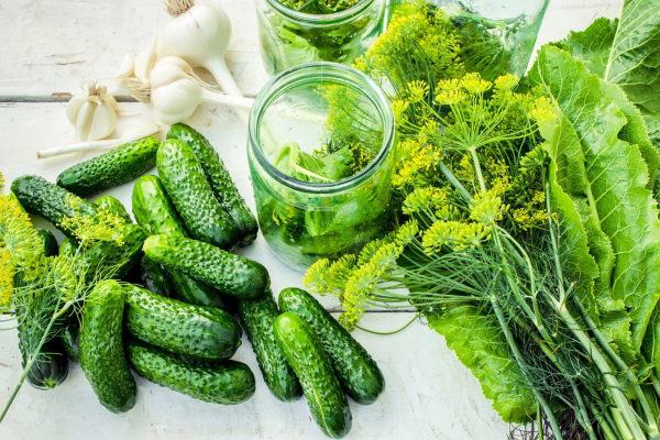Корнішони виходять смачними та хрусткими. Корнишоны получаются вкусными и хрустящими.