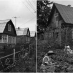 Як у СРСР почали роздавати ділянки під дачі, і чому…