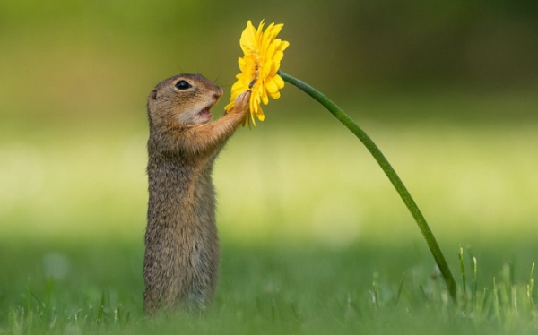 Будьте усвідомлені. Будьте осознанны.