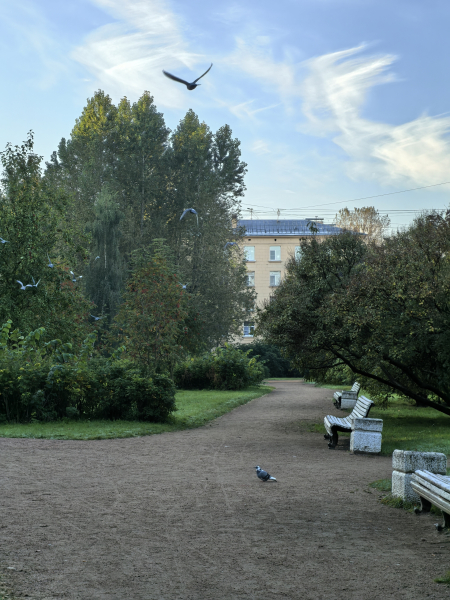 Фото с зумом