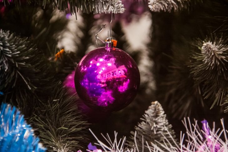 351ed493e07e8e5d0da29b26a62089bf