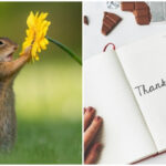 Як перестати чекати на фундаментальне щастя і почати радіти життю…