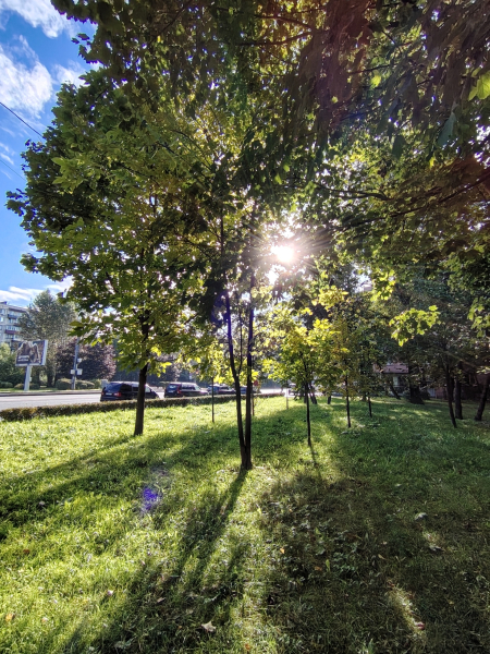 Фото на широкоугольную камеру