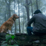 У російських кінотеатрах показують «Очі пса» — хорор від імені…