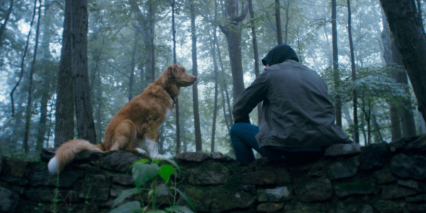 724417eb21fc66efd98719c523cad53d