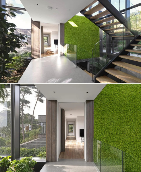 Стализированный мох обеспечивает прекрасную изоляцию и эстетику.