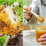 Шалений мед: як солодкий продукт перетворили на зброю, і чому…