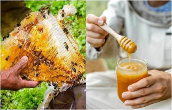 9de678282430429fbc056b66aa5d778c