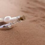 В Австралії на берег викинуло пляшку Schweppes із листами: їх…