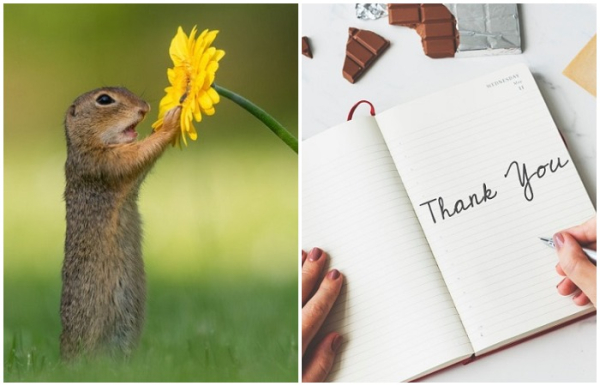 c997fb0a25e97aa99f85eb5333a75a51