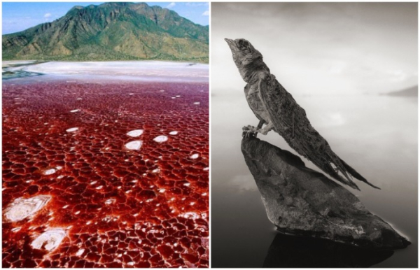 d80f9ba6d497348e0db6ef1a660058e3