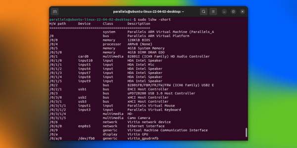 lshw Как узнать характеристики компьютера с Linux: lshw