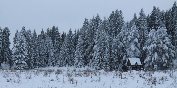 Национальный парк «Русский Север»