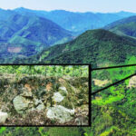 Науковці знайшли найбільший сучасний метеоритний кратер на Землі — діаметром майже кілометр