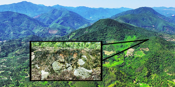 0f37a823ba3d681c867b59a0bdfdba22