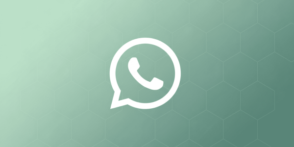 15797fb924dd6510a7e3a9195c3914c9