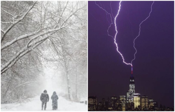 193f04bace896eac31962c990c603084