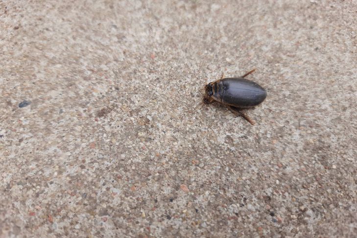 1bb676ca103571153a171032ff0c8017