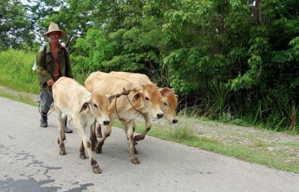 Вообще нельзя.