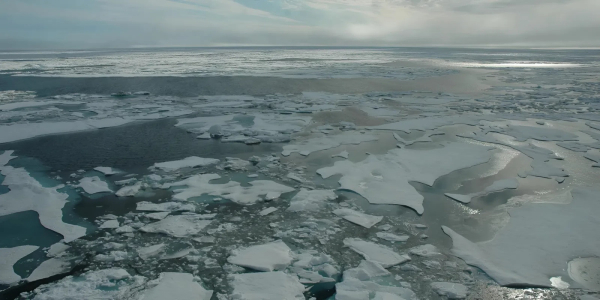 31abcb576fa0907be2071ca3f5144923