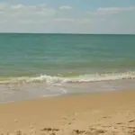 Відпустка на море зірвалася першого ж дня: як сімейна поїздка…