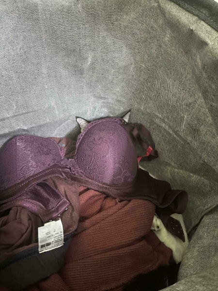 4594ae096efc4b4daef81f4af2e7de2d