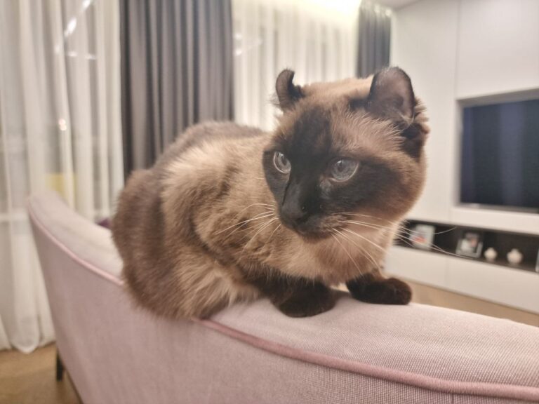 46c725cd39e06d27a40d7506c1ab5e50