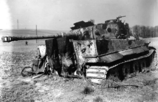 Тигр виявився просто не потрібним. Тигр оказался просто не нужен.