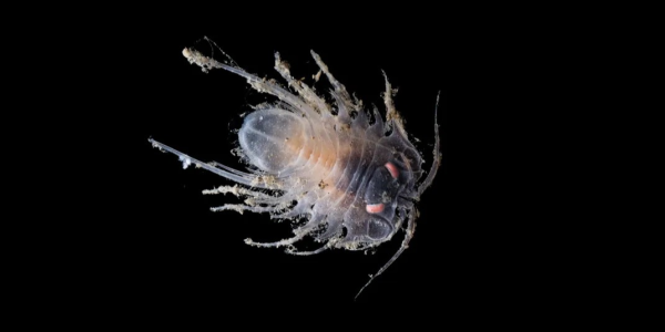 5b0363e9af5466daad83f9f730bc6666