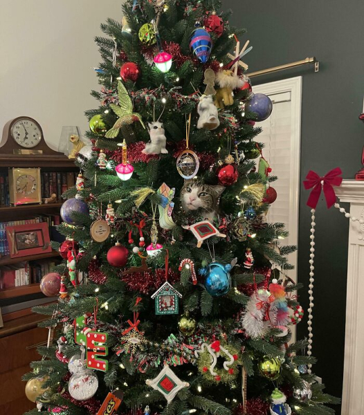 77187af6bb108c9f3ee696c16bd10707