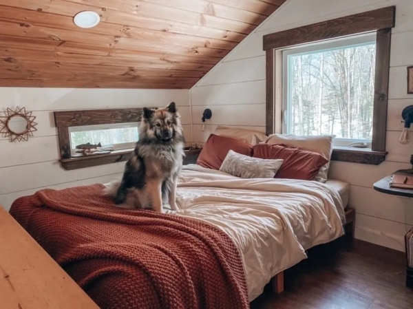 Наслаждаться сном в кровати не прочь и домашний любимец.