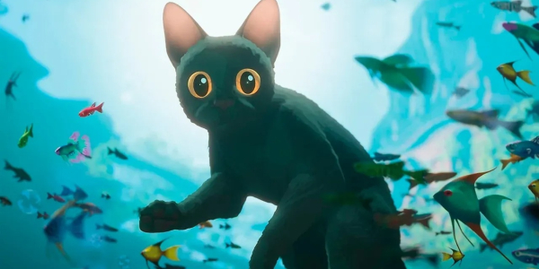 8975c3a8970a012da04008195c4a3bf7